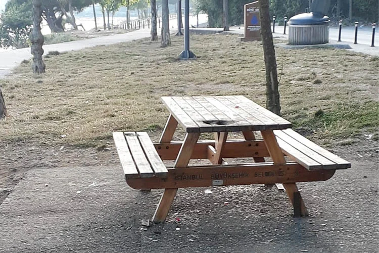 beykozkavakpis2 rK ZsfLwsb