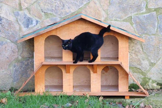 Beykoz Belediyesi'nden sokaklara kedi evleri 1 beykozkedievler1 4Kkv8LioGW