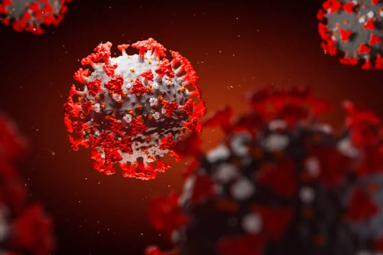 Beykoz, Haziran ayındaki verilerde az riskli ilçeler arasında gösterilirken, Temmuz