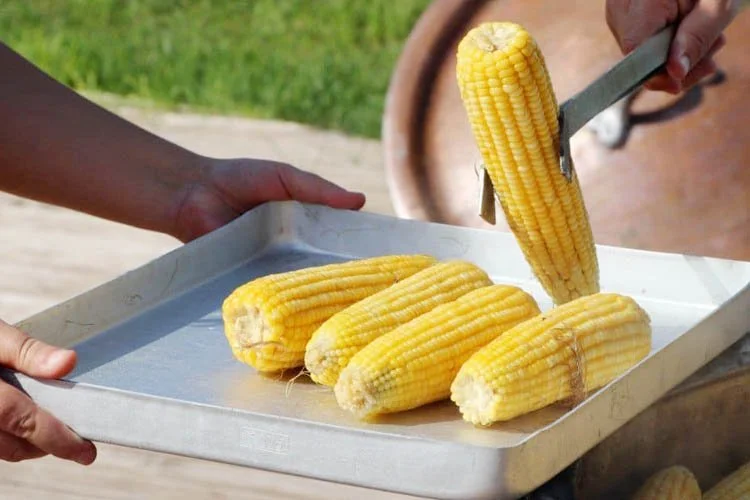 Beykoz’da atalık tohum ile doğal tarımla üretilen tatlı ve sütlü