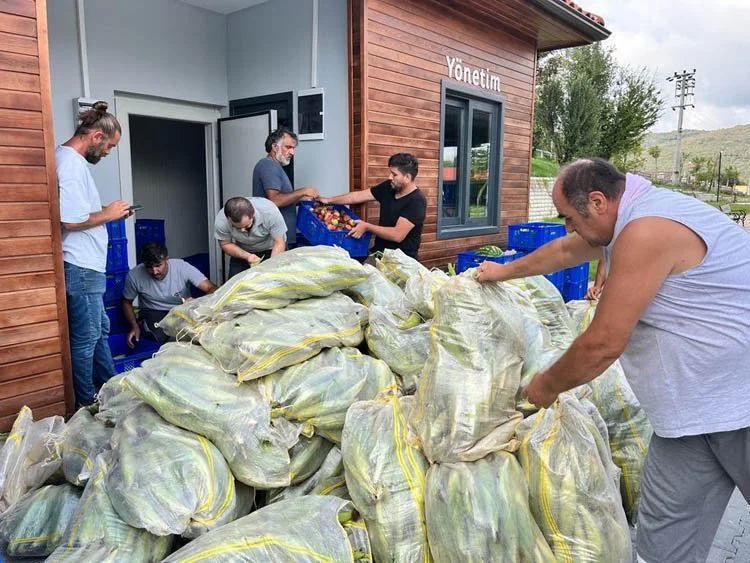 beykozmdb2 amu6zNuKLr