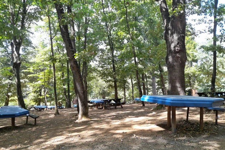 İstanbul Valisi Yerlikaya'nın açıkladığı, kent genelinde orman alanlarındaki yasağın uzatılmasının