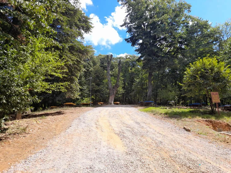 beykozormandb3 4jZI6Jq 0S