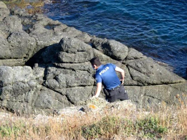 beykozrivakamp qlmuu FADh