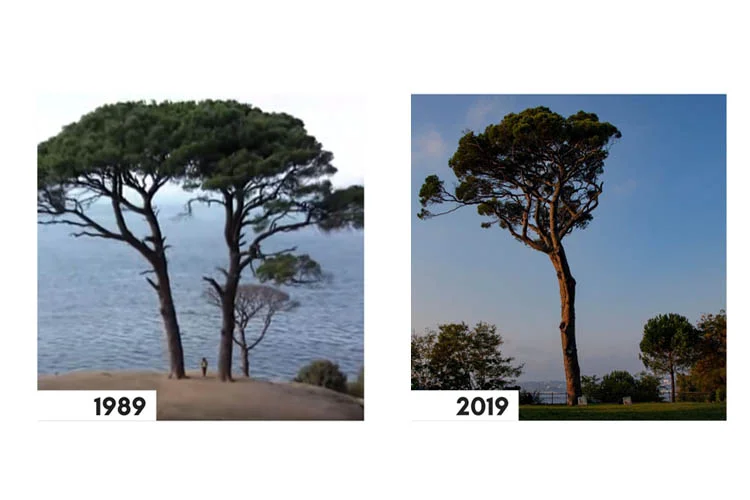 Beykoz'da çekilen Türk sinemasının efsane filmleri 3