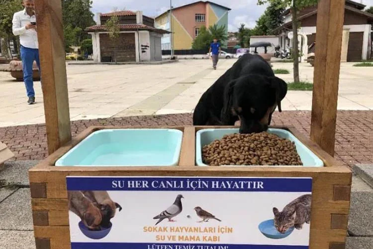 Beykoz'un 39 noktasına kuruldu 1 beykozsokakhdb2 EsBV68KeLH