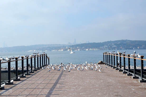 Dost Beykoz, 56 saat sürecek sokağa çıkma kısıtlamasının ilk gününde