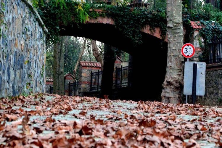 beykozsonbaharbeykozkorusu 8PUGL42Hlk