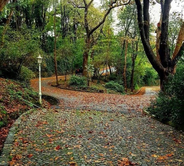 beykozsonbaharhidivkasr1 FF33VyM8kz