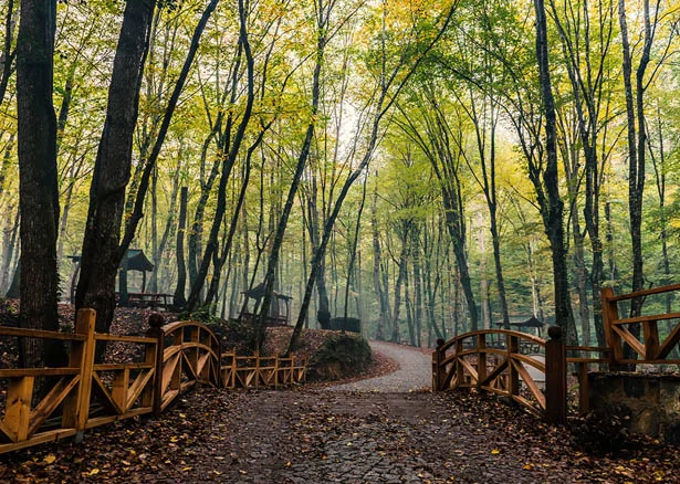 beykozsonbaharkaymakdonduran1 n8XFh ThJN