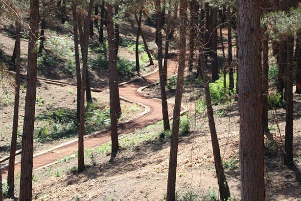 beykozsonbaharkssorman1 87EPDMo771