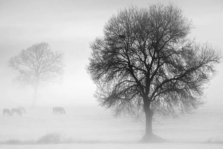 beykozsonbaharriva E0Qooe1M5r