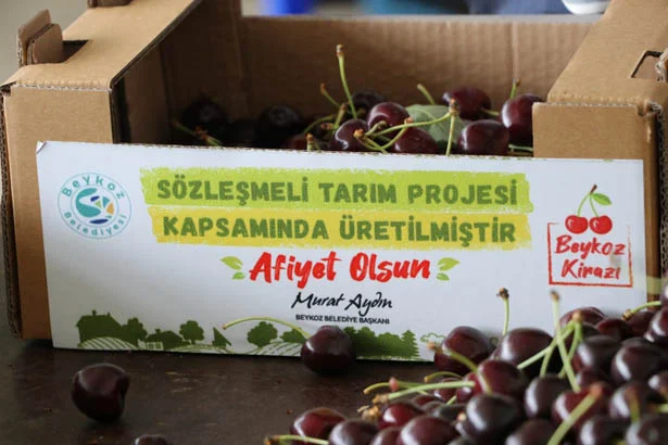 Beykoz'da çiftçiye yönelik doğru politikalarla tarımda atak başladı. Çiftçiler alım