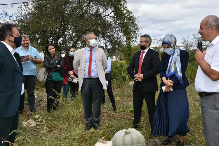 İstanbul İl Tarım ve Orman Müdürlüğünce 'Kabağın en tatlısı Beykoz'da