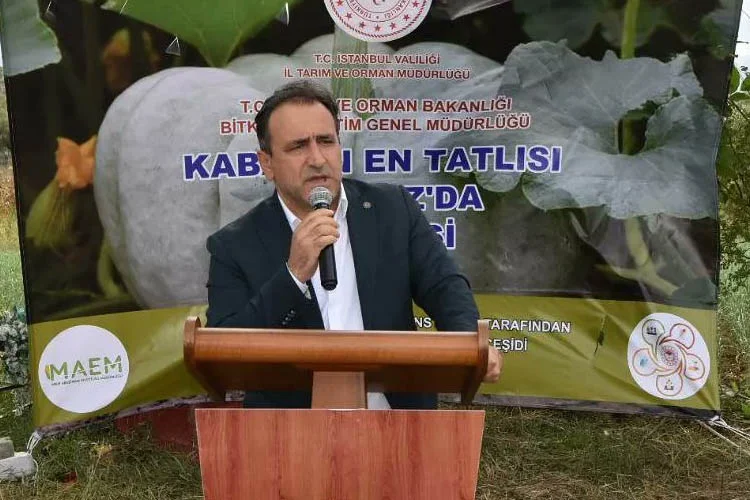 beykoztari cZta7t7MgF