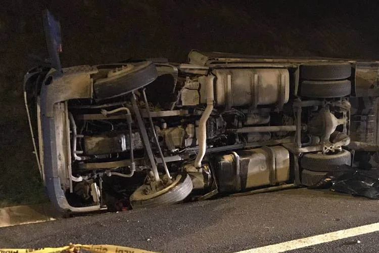 beykoztirkazadb2 foefZwig8o