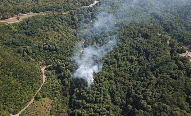 Beykoz Anadolu Kavağı’nda çıkan orman yangını, itfaiye ekiplerinin müdahalesiyle kontrol