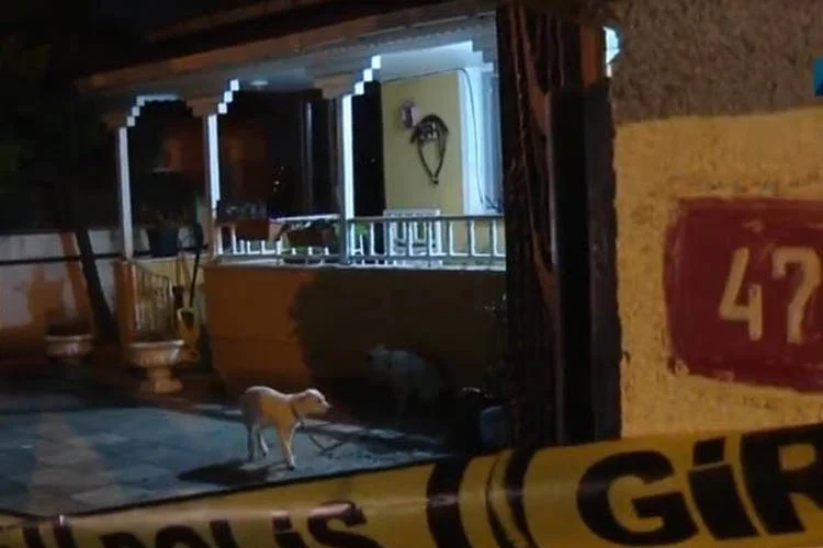 Beykoz'da tek katlı bir evde çıkan yangına müdahale eden itfaiye