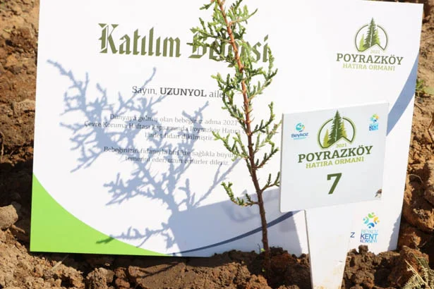 beykozyenidoga dgsW 9nV2R