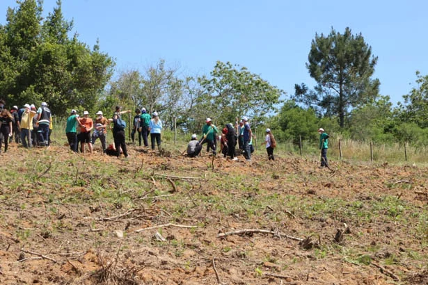 beykozyenidogandb4 ZMRqbwR2od