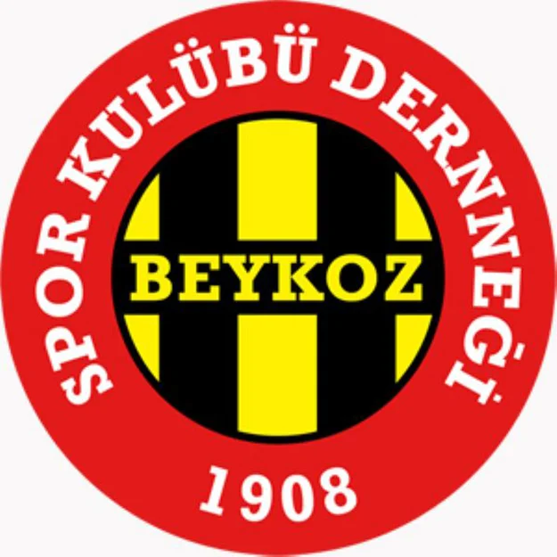 İstanbul Süper Amatör Lig 7. Grubu ikinci yarının ilk maçında,