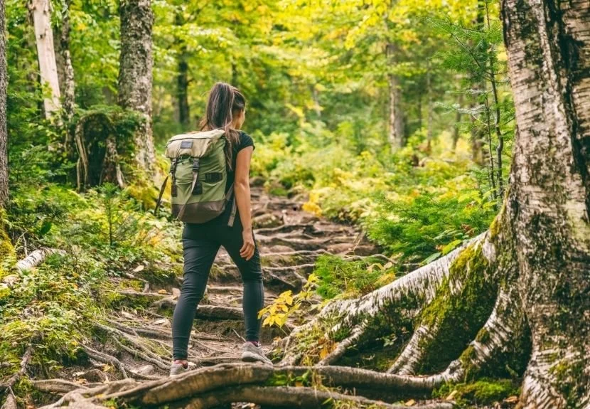 Beykoz'un Ocak 2025 spor ve kültür takvimi belli oldu 3