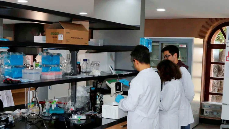 bilimsel arastirm 9wYLWFJA2Q