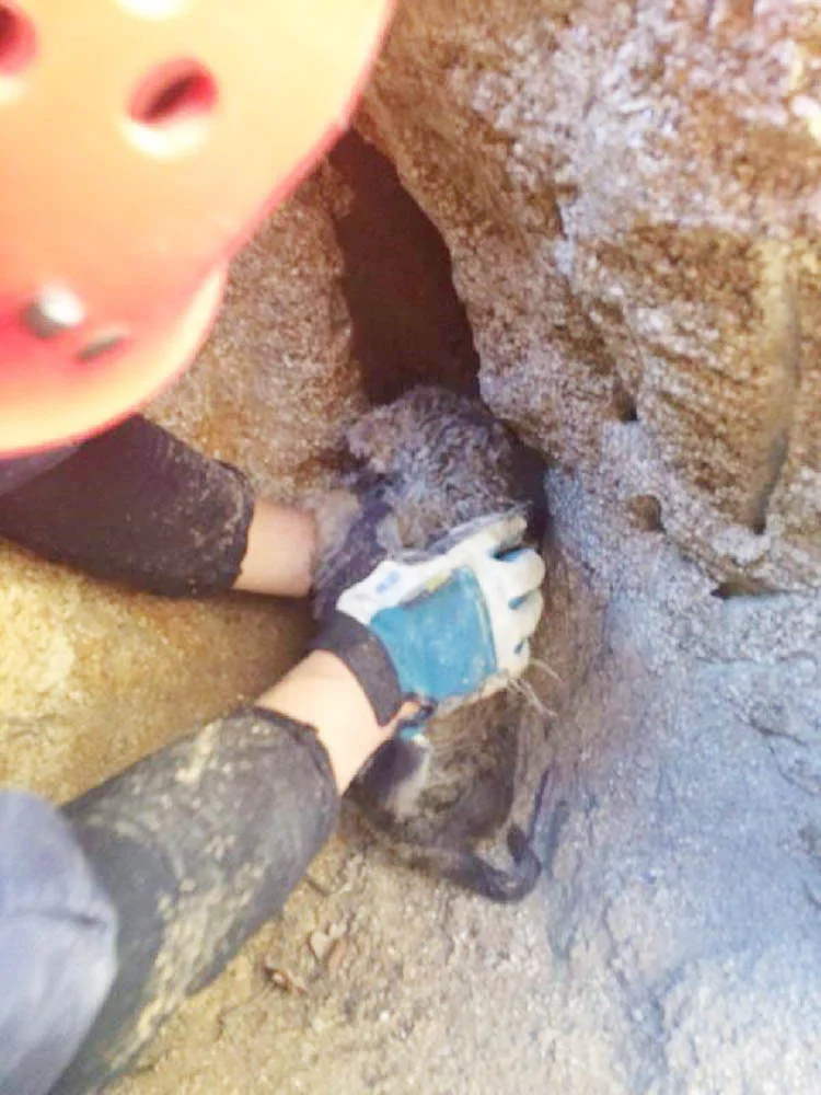 bir kuyu dah AC S3WMmHq