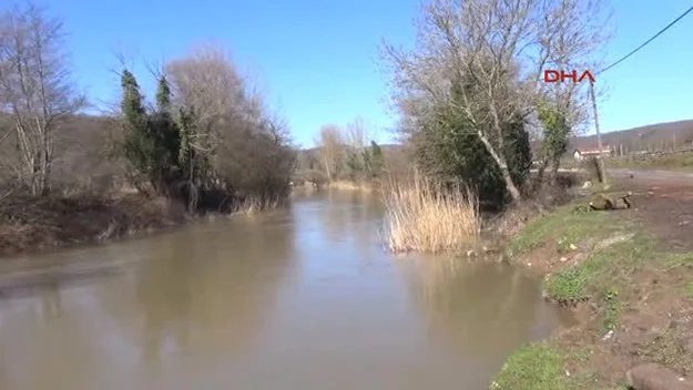 CHP İstanbul İl Başkan Yardımcısı Şeyma Dumrul, "Ne yazık ki