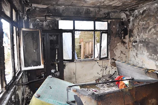 ciger yangi YbK8Xkepj2