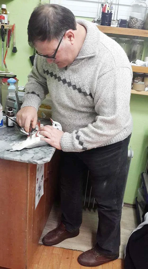 cinar marti d B46PgEPy0o