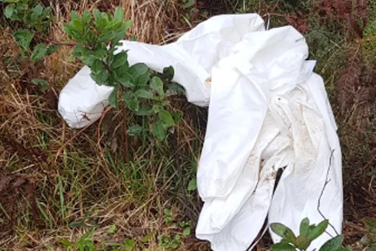 corona mezar 2 XV9tGc2fod