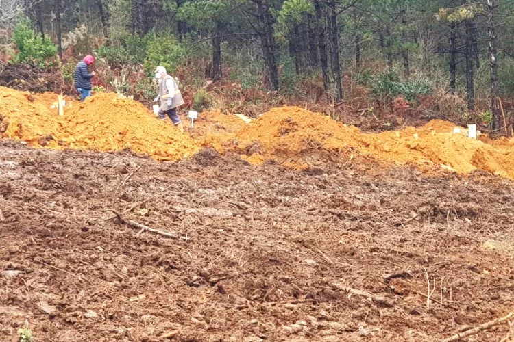 corona mezar 7 oONcGmPyVh