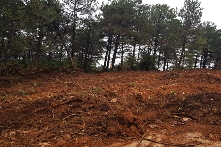 corona mezar 8 GKVvF26UHi