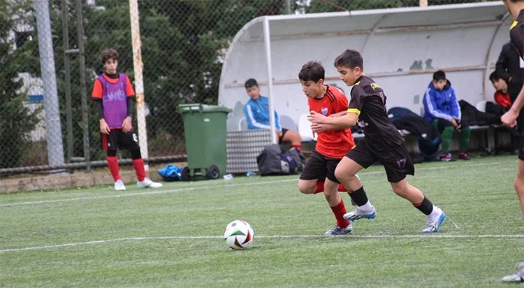 cubuklu 3 mse2 Rl8Lm