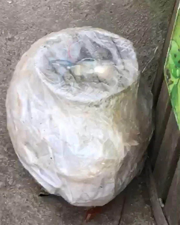 Beykoz Cumhuriyetköy Mahallesi'nde akşam saatlerinde patlayıcı madde içerdiği düşünülen paket,