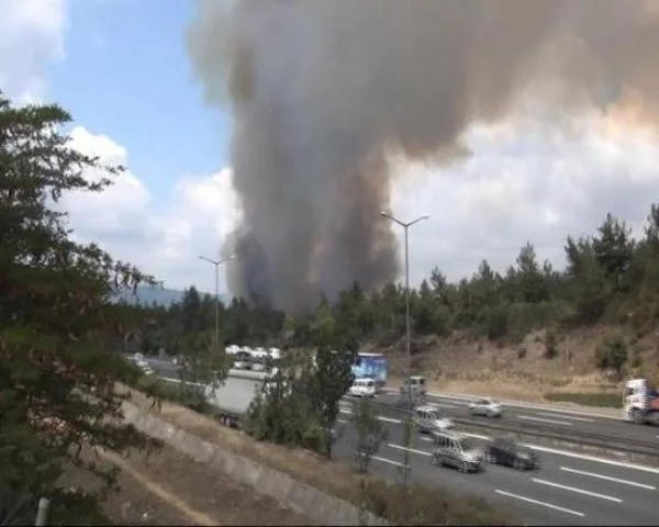 Beykoz'da ormanlık alanda 5 ayrı noktada yangın çıktı. Yangına havadan