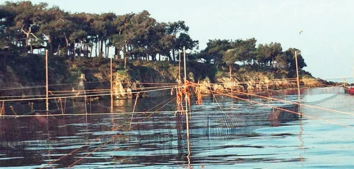 Balığın kapana kısıldığı ağlardır dalyanlar. Marmara kıyılarında sıra sıra uzanan