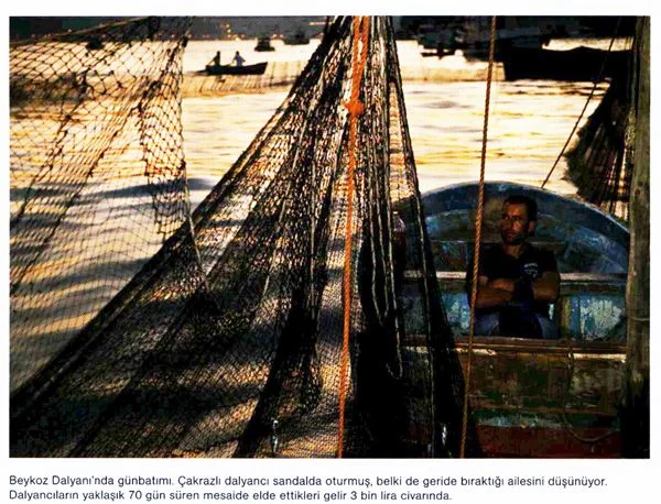 İstanbul'da bugün sadece üç dalyan var. Beykoz ile Filburnu ve