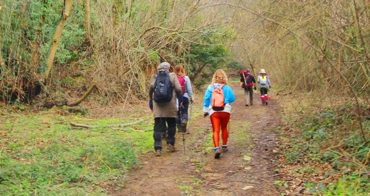 Beykoz ilçesi doğal güzellikleri ve bol ormanlı görüntüsü ile İstanbulluların
