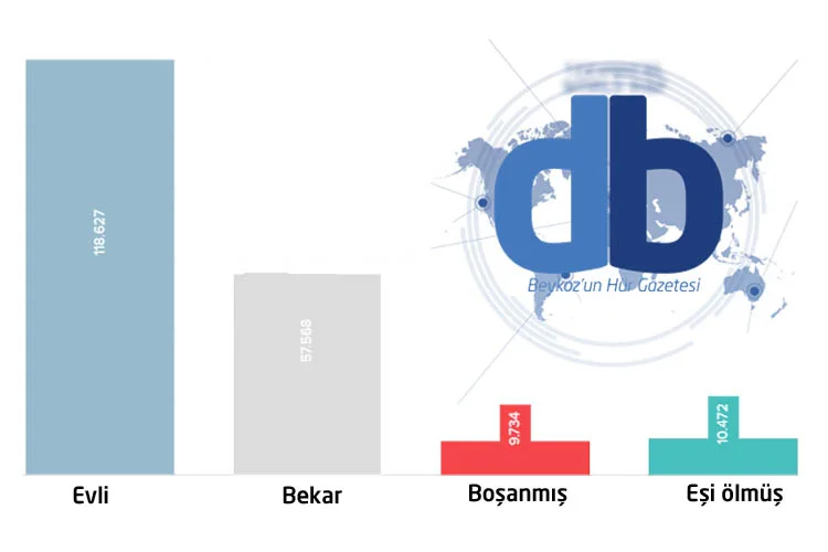 dbhabergra tMBPlzgtup