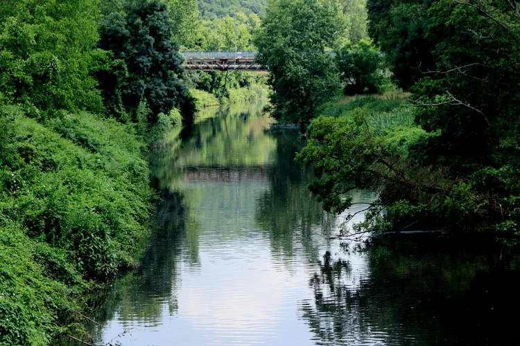 Riva Deresi Beykoz'da hayvancılığı olumsuz etkiliyor 1 dbriva1 psu7YlouhB