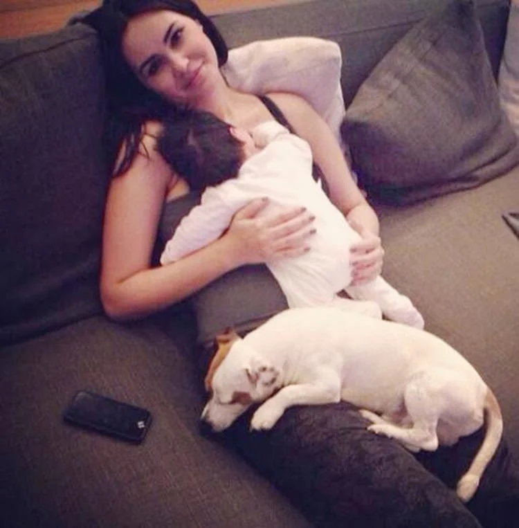 Beykoz’da, belediyenin hayvan barınağının ardından ikinci hayvan barınağını da Fenerbahçeli