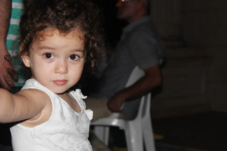 demokrasi ikincidevre