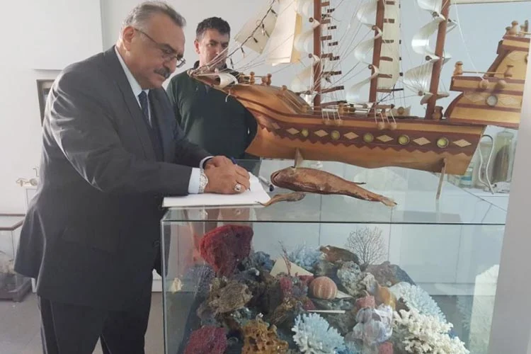 denzi mezun beykoz 4 K8o4zjk 6M