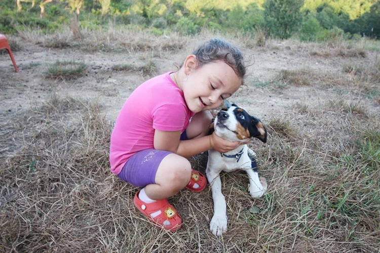 Beykoz’da bir doğa adamı İsa Bayrak 8 do IGlmw1thYt