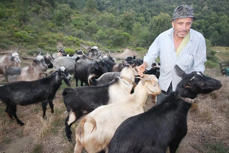 Beykoz’da bir doğa adamı İsa Bayrak 9 doga 10 msDbO53YZA