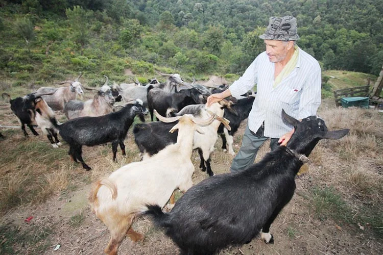 Beykoz’da bir doğa adamı İsa Bayrak 5 doga 9 TVGsXZKsUq