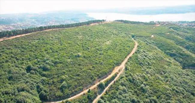 Beykoz'da vatandaşların kullanımındaki arsalar için belediyeye ücretler ödendi. Müteahhitlerle anlaşmaları