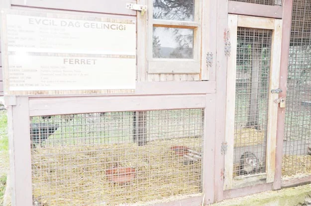 Orman ve Su İşleri Bakanlığı, 4 Ekim Dünya Hayvanları Koruma